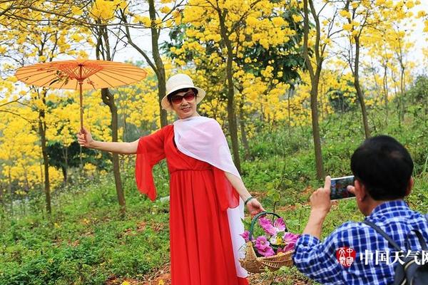 我家皇子初長(zhǎng)成 《京門(mén)風(fēng)月》皇子系統(tǒng)或啟聯(lián)姻