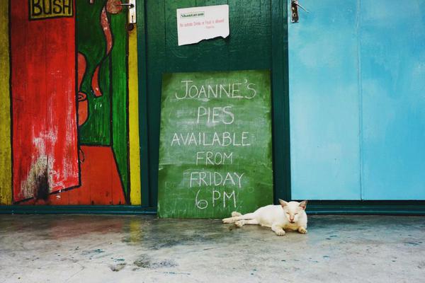 《80后指揮官》國(guó)戰(zhàn)新紀(jì)元 期待你的加入