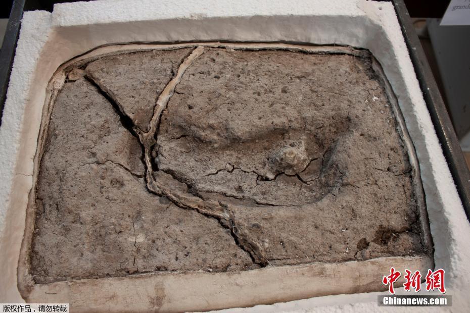 吹毛斷發(fā)削鐵如泥 《十三煞》神兵兵器譜