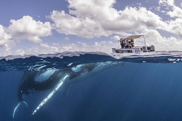 新征程新戰(zhàn)場(chǎng) 《龍紋三國(guó)》重磅更新今日來(lái)襲
