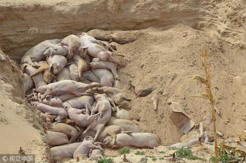 大吉之象 《熹妃傳》手游卦象系統(tǒng)淺析