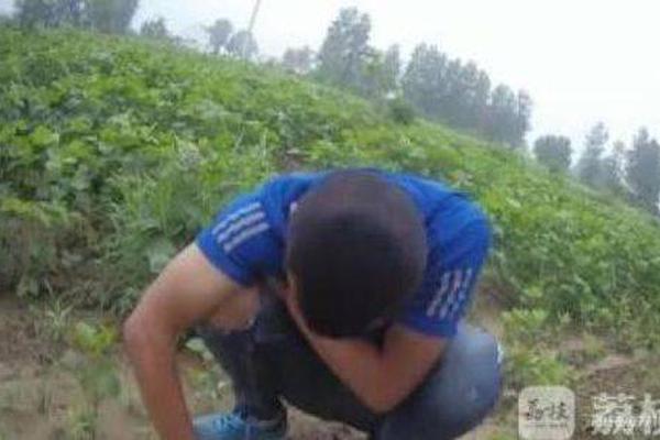 柳巖攻沙首秀 《傳奇世界手游》今日騎戰(zhàn)公測(cè)