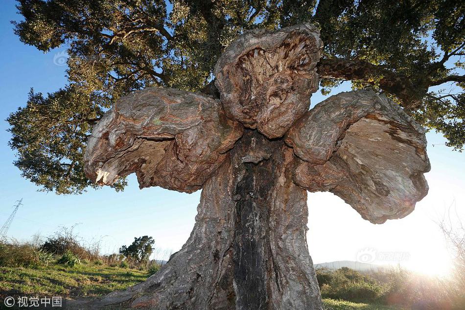 PK更熱血 《皇圖》新版亮點(diǎn)深度解讀