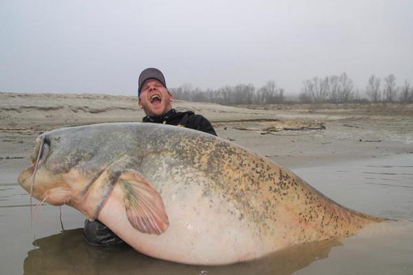 《少年三國(guó)志》最新版本更新 自動(dòng)戰(zhàn)斗約嗎?[圖]