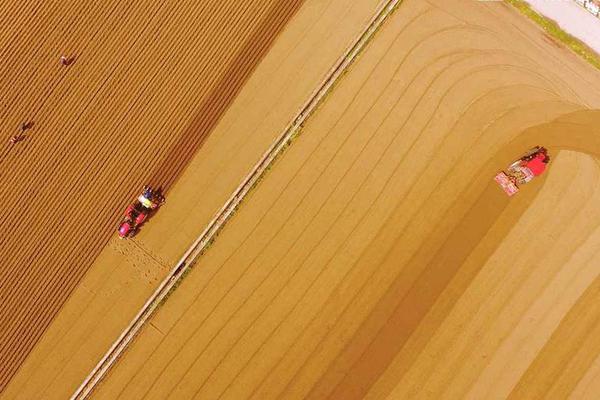 《君臨online》刪檔計(jì)費(fèi)測(cè)試即將開(kāi)啟