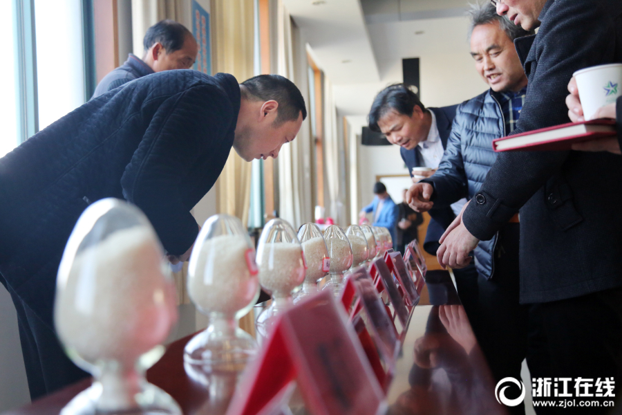 LINE正版授權(quán)消除游戲《小熊愛(ài)消除》首曝