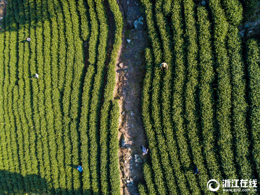 LINE正版授權(quán)《小熊愛(ài)消除》首測(cè)預(yù)約萌動(dòng)開(kāi)啟