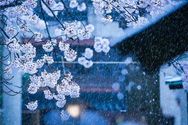 熱辣網(wǎng)紅助陣 《最無(wú)雙》安卓首發(fā)倒計(jì)時(shí)