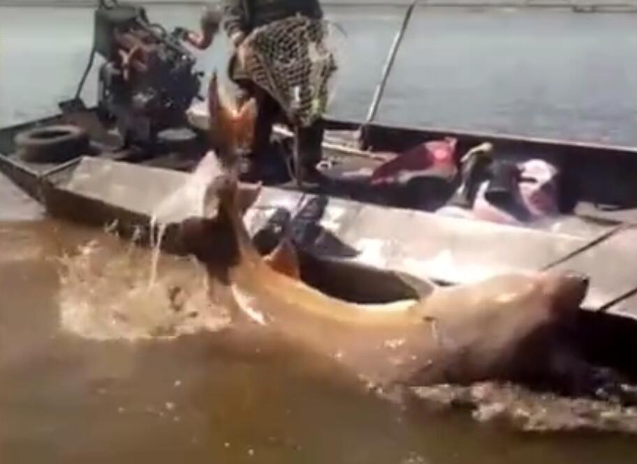 華為發(fā)布新款TWS耳機(jī)FreeBuds Pro 3 搭載麒麟A2芯片