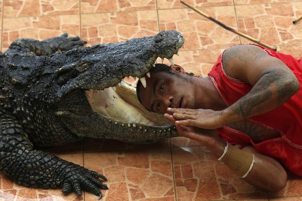 三分如雨下 《街籃高手》GM挑戰(zhàn)賽圓滿(mǎn)收官