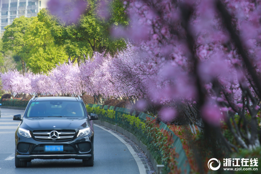 利刃出鞘天下震 《九陰真經(jīng)3D》神兵品評(píng)