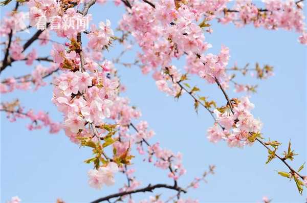 《雷霆海戰(zhàn)》戰(zhàn)艦研發(fā)指南 熟練主流以策萬(wàn)全