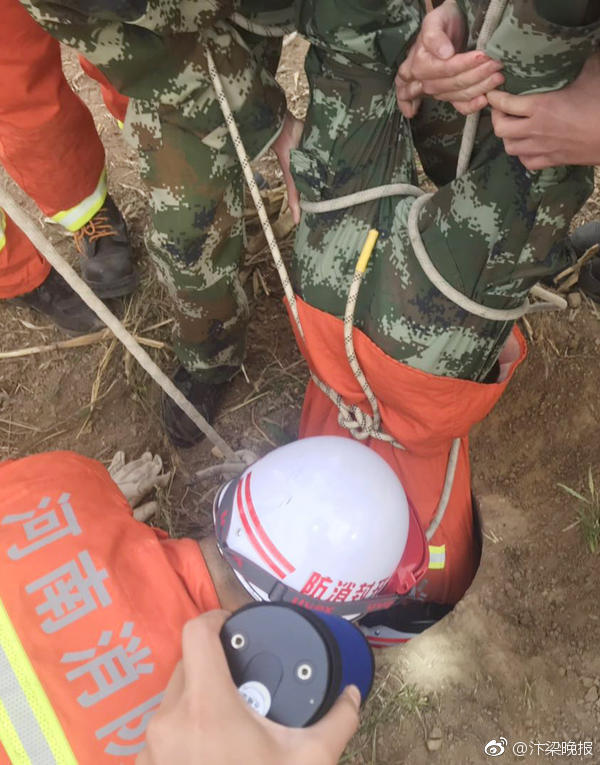 漫天花色正芳菲 《?；ǖ馁N身高手》美人作戰(zhàn)