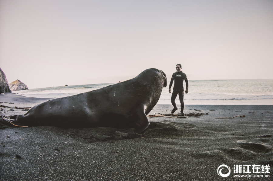 3D與宮斗結(jié)合 《熹妃Q傳》再現(xiàn)真實(shí)后宮