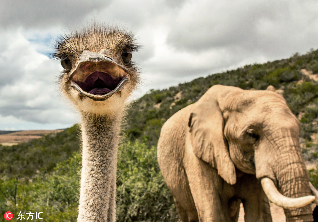 全新驚艷手感 《街籃高手》新版本正式上線(xiàn)