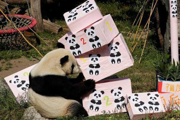 戰(zhàn)力沸騰 《時(shí)空獵人》新區(qū)域戰(zhàn)出新感覺(jué)