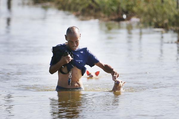 探尋生命奧義 《鋼煉之魂》手游22日高調(diào)開(kāi)測(cè)