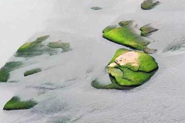 《戮仙戰(zhàn)紀(jì)》新版本晚宴時(shí)裝秀 今晚大咖就是你