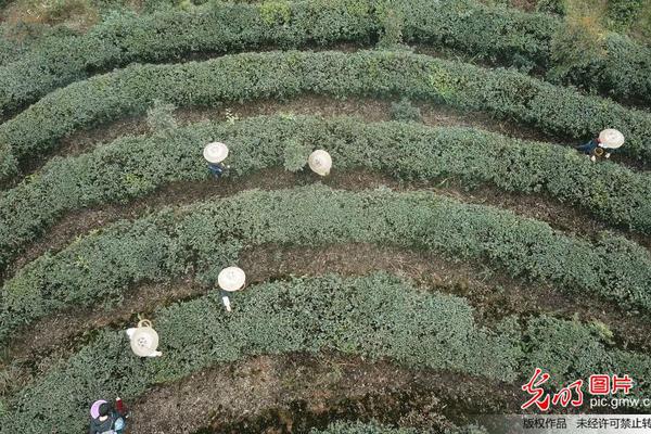 老哥穩(wěn)！《我的使命》教你如何制霸競(jìng)技場(chǎng)