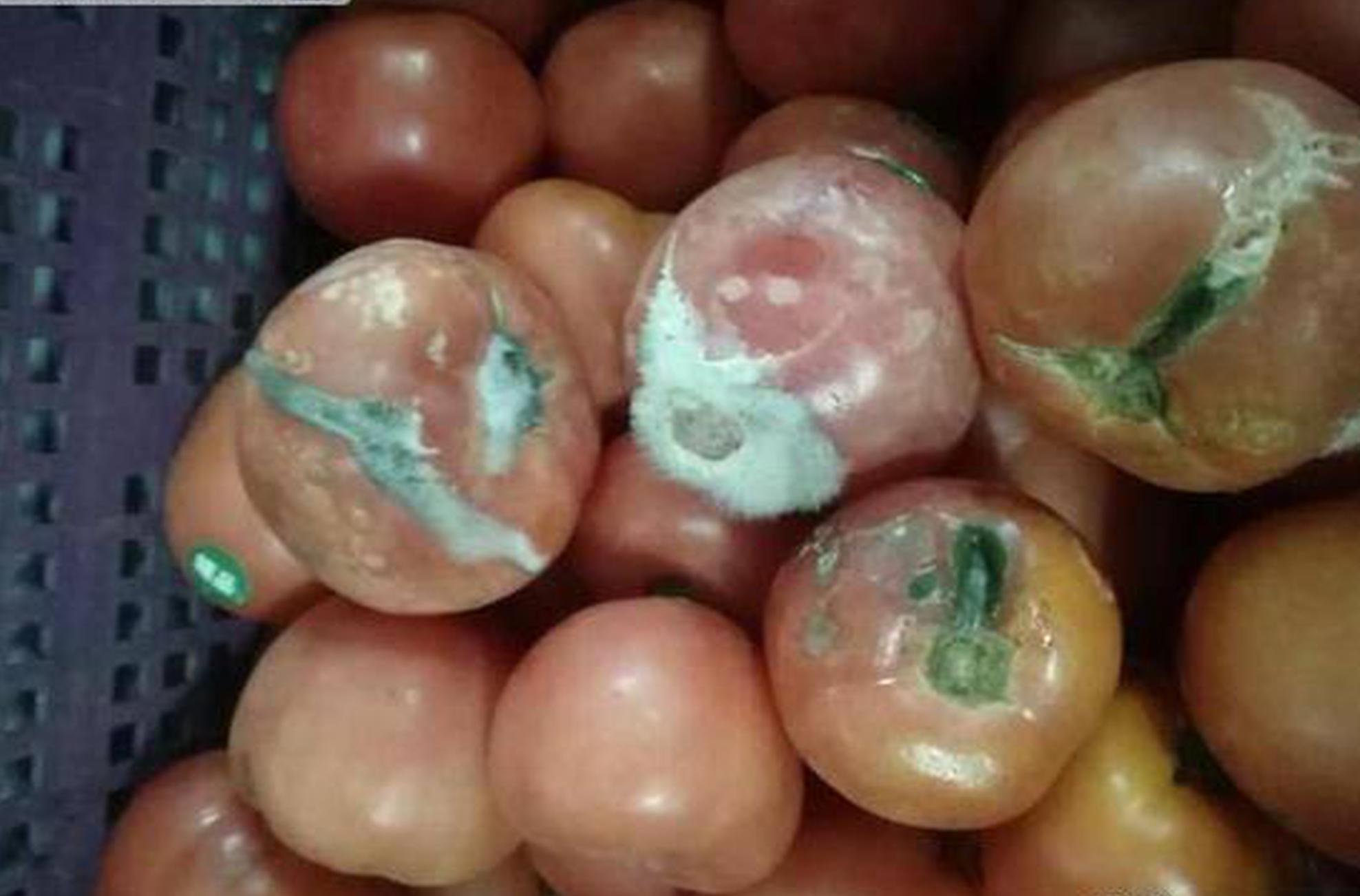 我家皇子初長(zhǎng)成 《京門(mén)風(fēng)月》皇子系統(tǒng)或啟聯(lián)姻