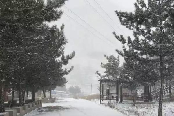 難以捕捉的勇士 《風(fēng)之旅團(tuán)》風(fēng)為羽翼動(dòng)作先行