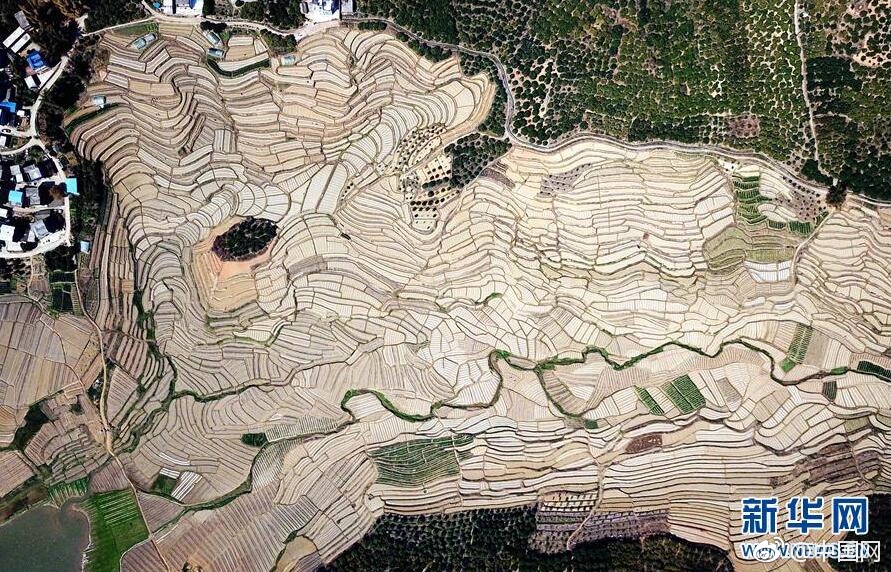 《問(wèn)道》手游全新副本挑戰(zhàn)即將開(kāi)啟