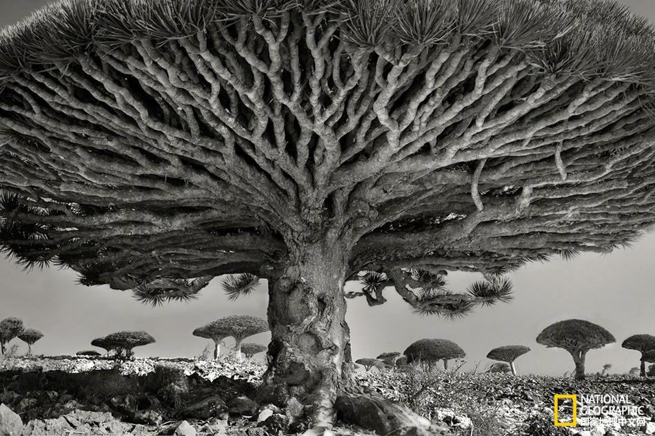 帥提督帶帶我 《艦姬》技術(shù)首測(cè)28日發(fā)船