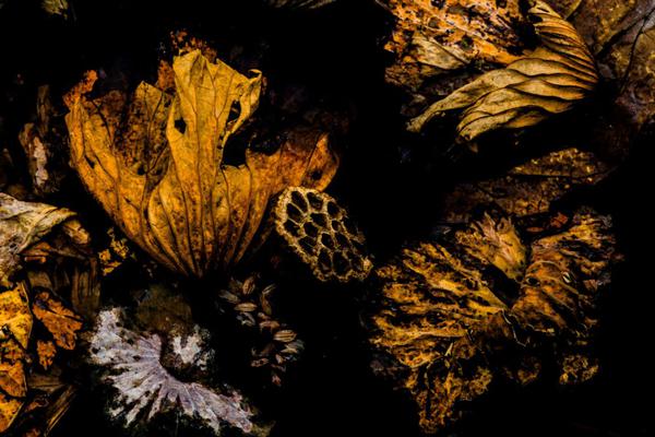 財(cái)源滾滾 《格斗刀魂Online》金幣送個(gè)夠[圖]